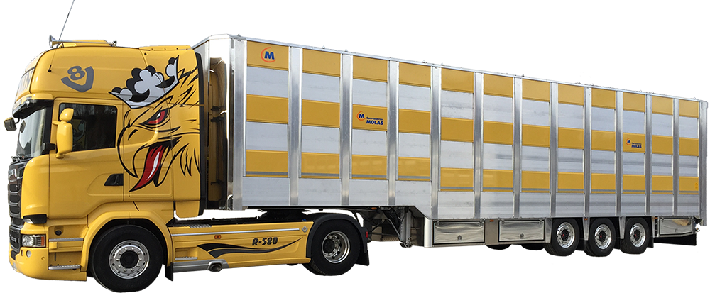 truck